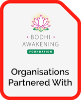 BA Organisations Partnered PDF